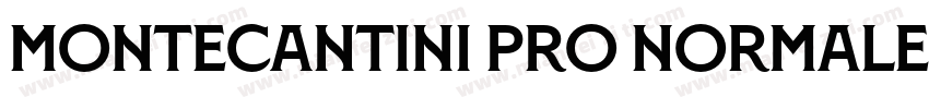 Montecantini Pro Normale Bold字体转换